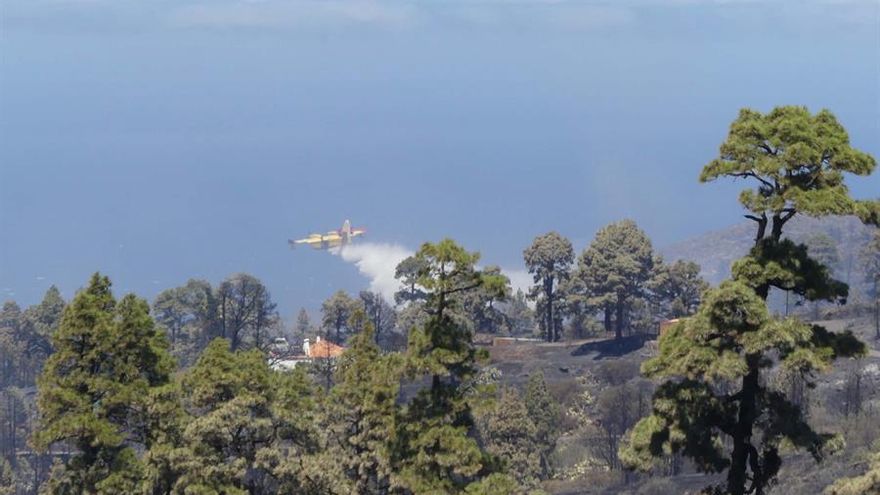 Un hidroavión hace una descarga para refrescar una zona quemada en el barrio de El Castillo del municipio de Garafía (La Palma) este domingo.