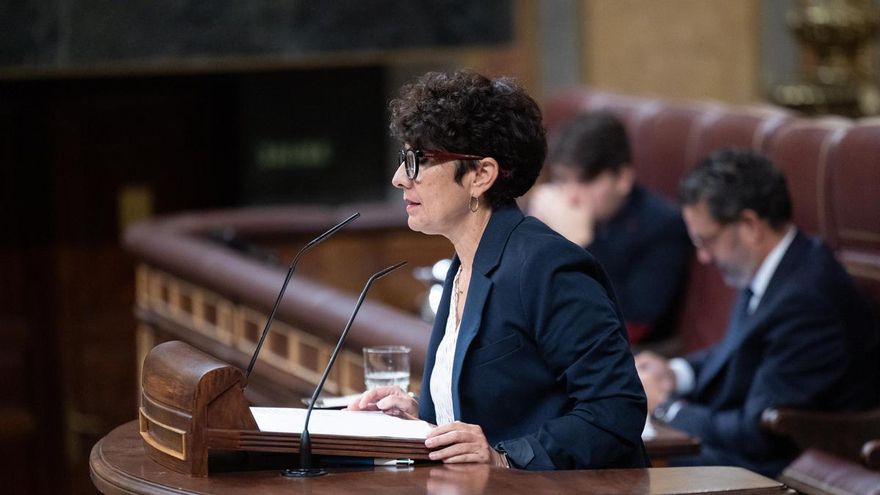 La portavoz del PNV en el Congreso, Maribel Vaquero, interviene durante una sesión plenaria, en el Congreso de los Diputados.