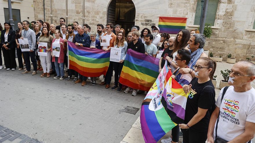 Compromís pide al Defensor del Pueblo que lleve al Constitucional la reforma de la 'ley trans' valenciana pactada por Mazón y Vox