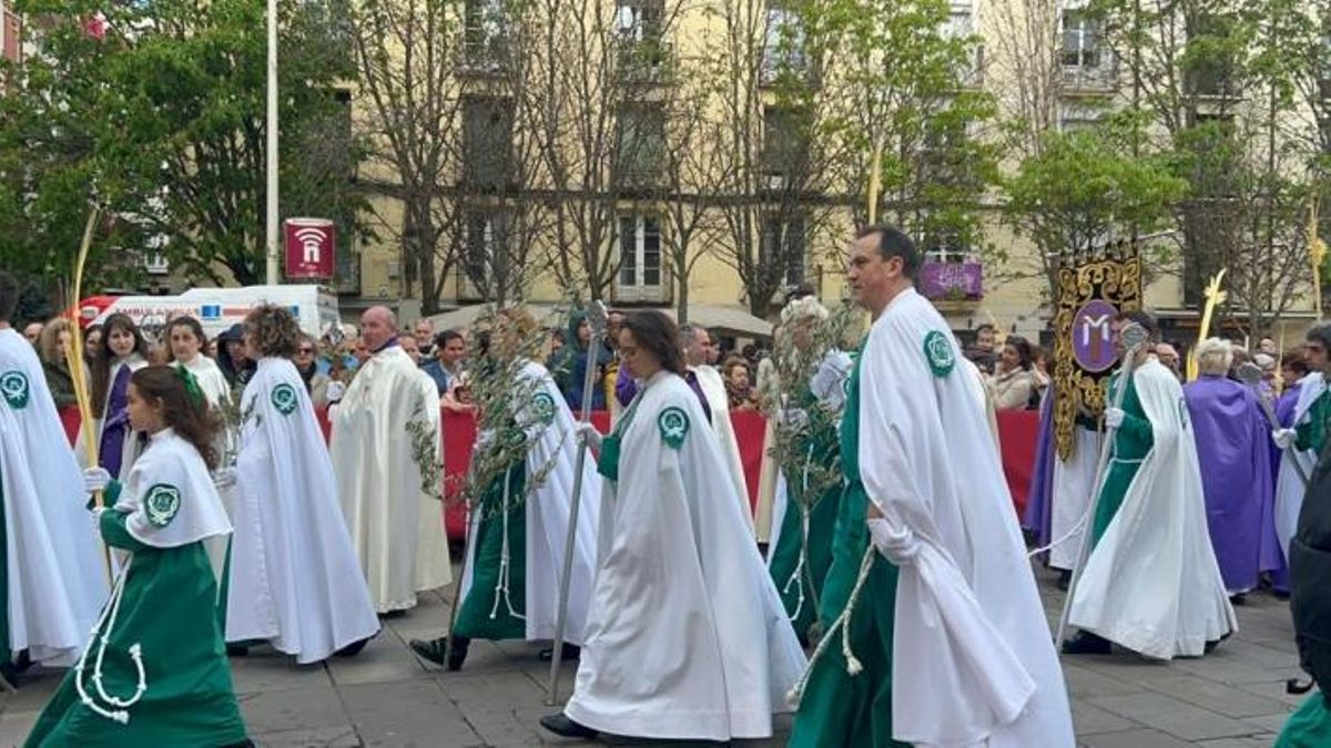 Domingo de Ramos en Logroño