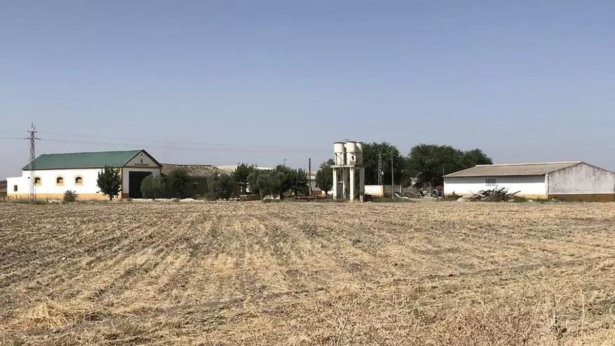 Imagen reciente del cortijo, que ahora se llama Nuestra Señora de las Mercedes.
