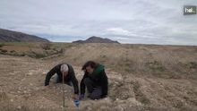 Colocando los 'cocoon' /Foto: HDL