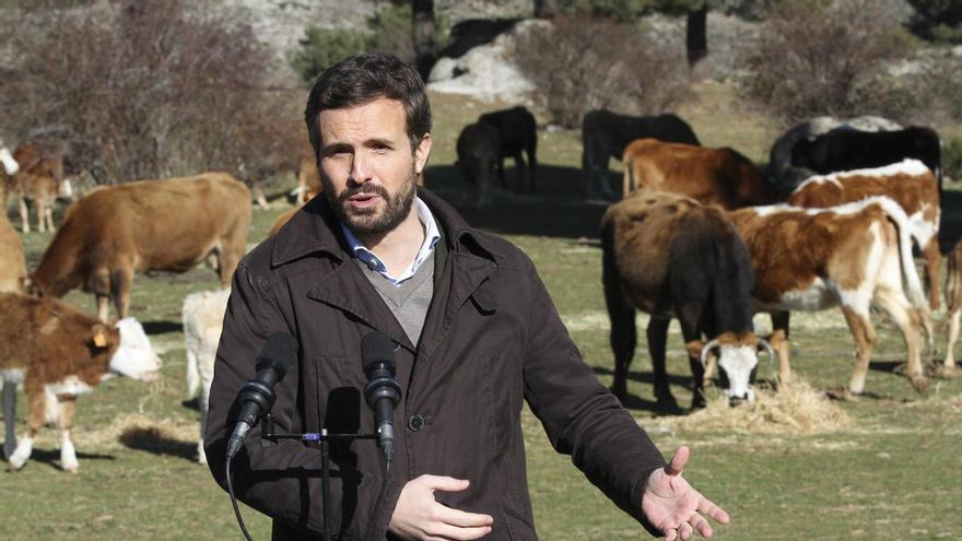 El presidente del PP, Pablo Casado, ofrece declaraciones a los medios, durante su visita a una explotación ganadera extensiva de vacuno en Navas del Marqués, a 14 de enero de 2022, en Navas del Marqués, Ávila, Castilla y León (España).