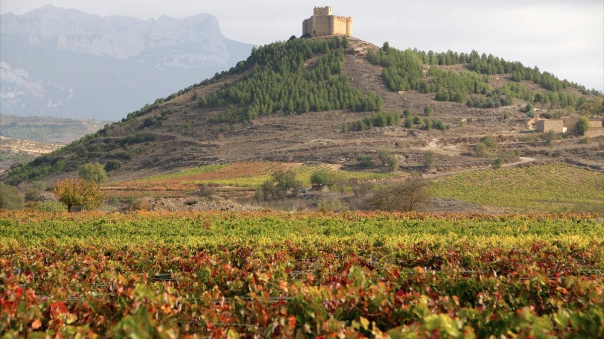 Castillo de Davalillo