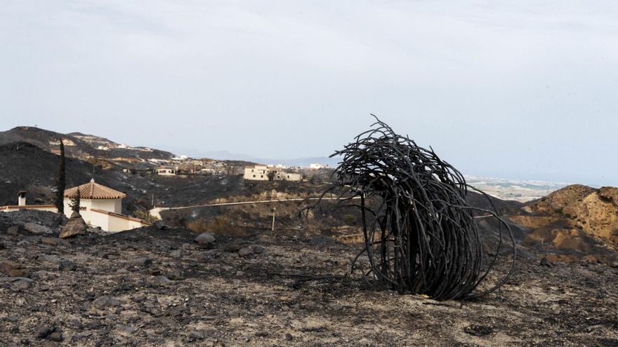 El Consejo de Ministros prevé declarar zona gravemente afectada el área del incendio de Los Gallardos