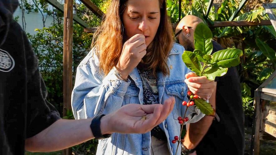 El café, el queso de flor y los vinos fueron los protagonistas