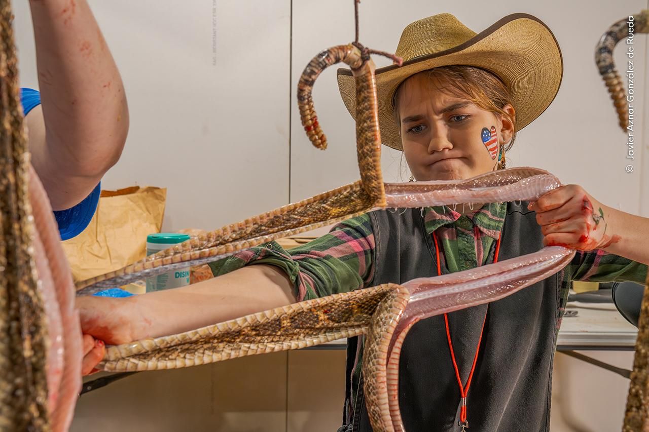 'Despelleje de serpiente', Premio Historia fotoperiodística