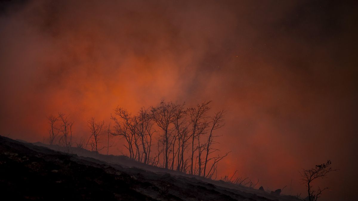 Los incendios en Ourense interrumpen la circulación de trenes de alta velocidad entre Madrid y Galicia