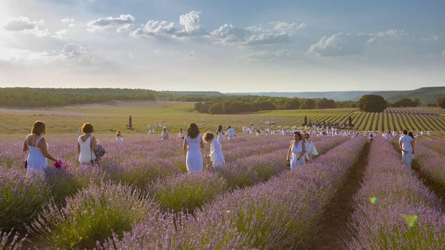 El Festival de la Lavanda de Brihuega, una celebración de los sentidos que llega a su décima edición