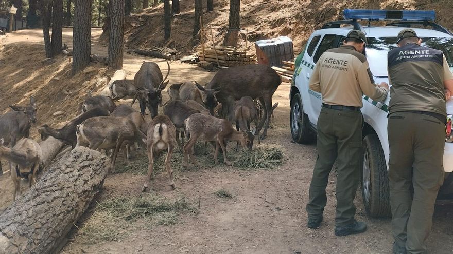 Agentes de Medio Ambiente, en la reserva