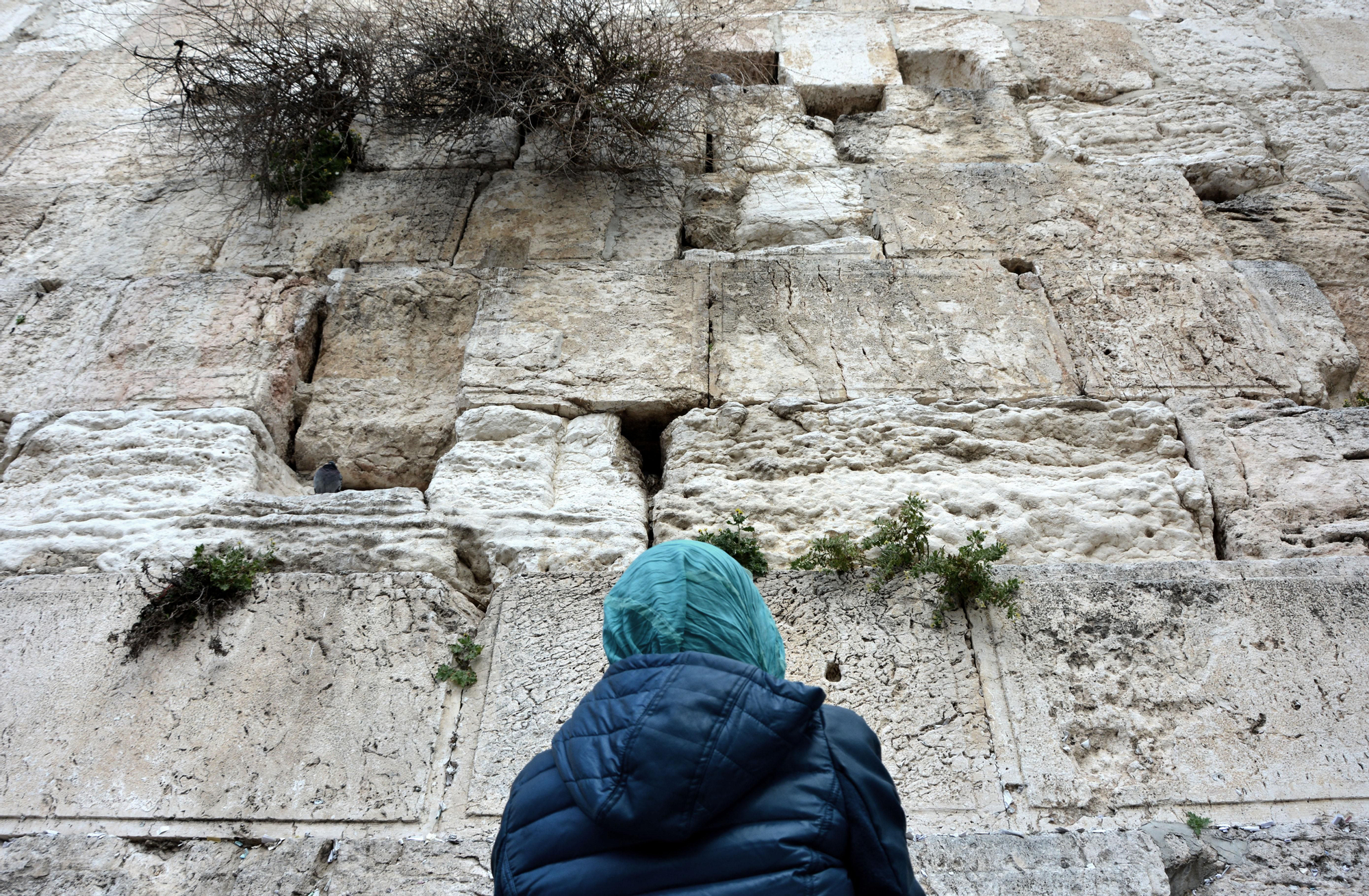 Al terminar la oración, los fieles se alejan del muro caminando hacia atrás para no darle la espalda. Jerusalén / SNM