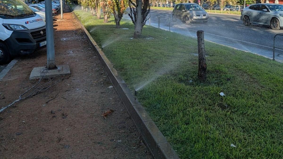 Riego en Carlos III.