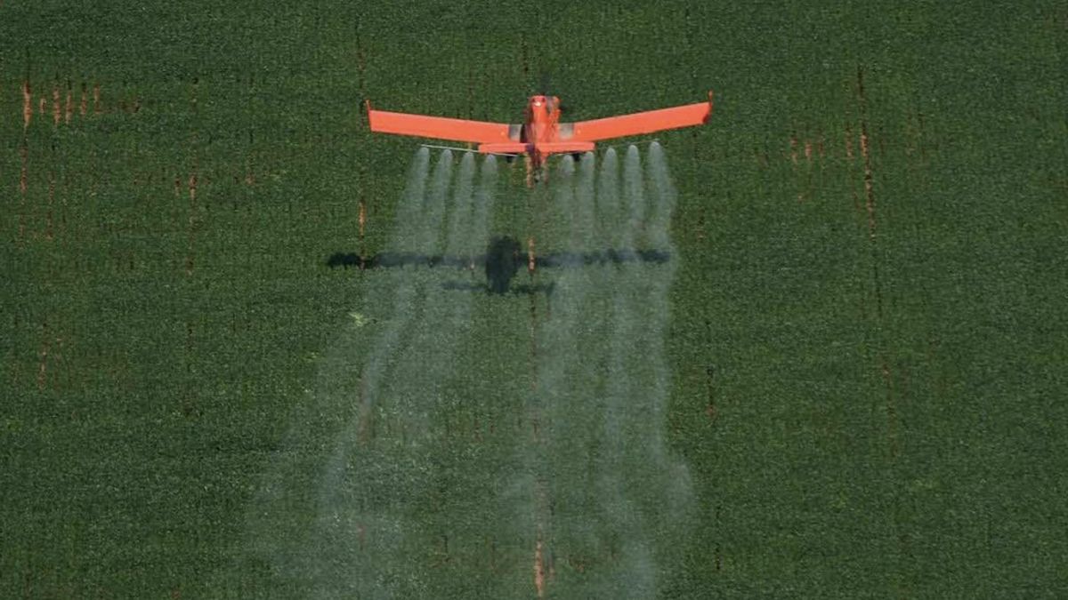 Fumigaciones