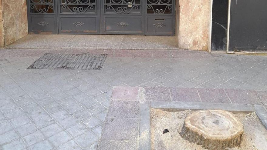 Una nueva y repentina tala de árboles pone en alerta a vecinos de Arganzuela: "Es una irracionalidad"