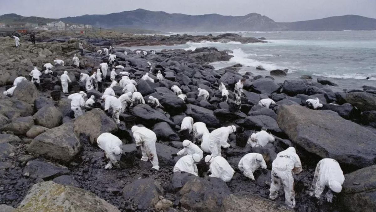El modelo gallego para blindar la pesca artesanal que sobrevivió al ''cataclismo ambiental'' del Prestige