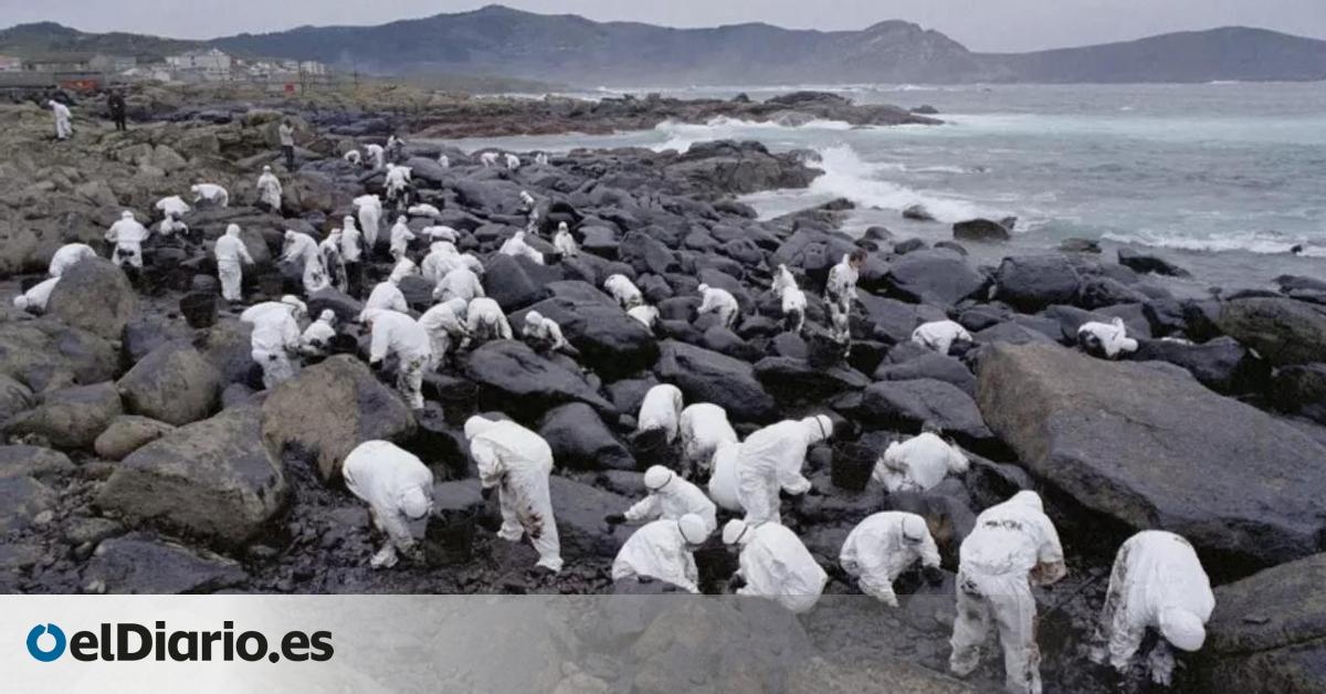 El modelo gallego para blindar la pesca artesanal que sobrevivió al cataclismo ambiental del Prestige