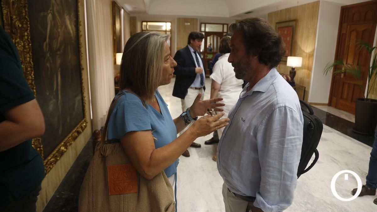 Pleno Extraordinario organizativo