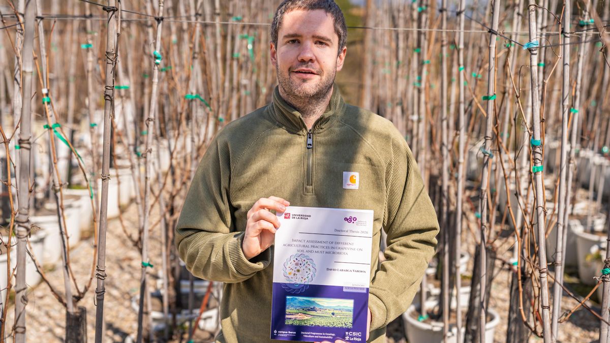 El uso de acolchados orgánicos en el viñedo mejora la biodiversidad del suelo y frena su degradación