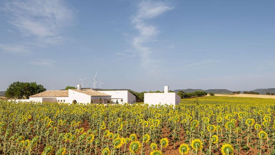 Nace 'Arquitectura para Respirar', espacio de opinión en colaboración con el Colegio de Arquitectos de Castilla-La Mancha