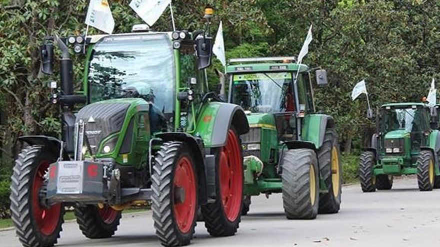 El alto precio de ser "moneda de cambio": el campo andaluz ante el acuerdo con Mercosur