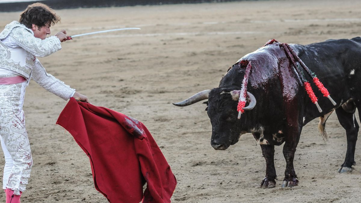 No matarás toros