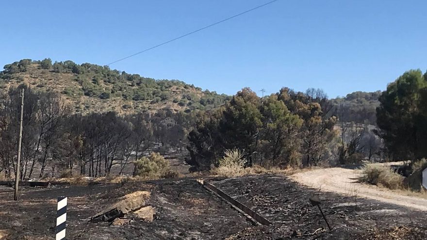Efectos del incendio a las afueras de Carcastillo, en Navarra
