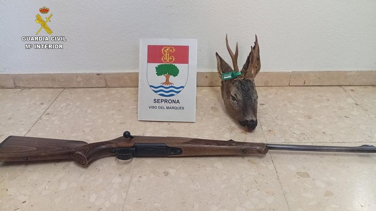 La Guardia Civil investiga a un cazador por abatir ilegalmente a un corzo en Moral de Calatrava