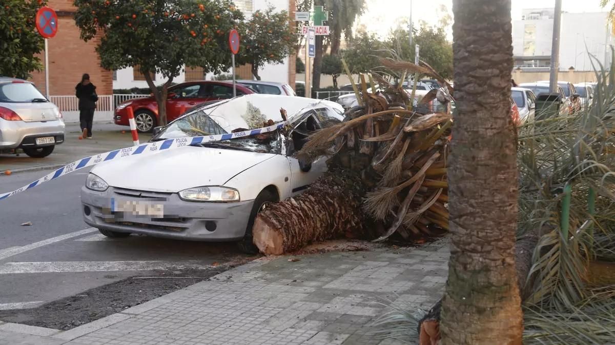 Andalucía mantiene 2.800 desalojados por el temporal, que se ceba con un fuerte viento en Córdoba y Málaga