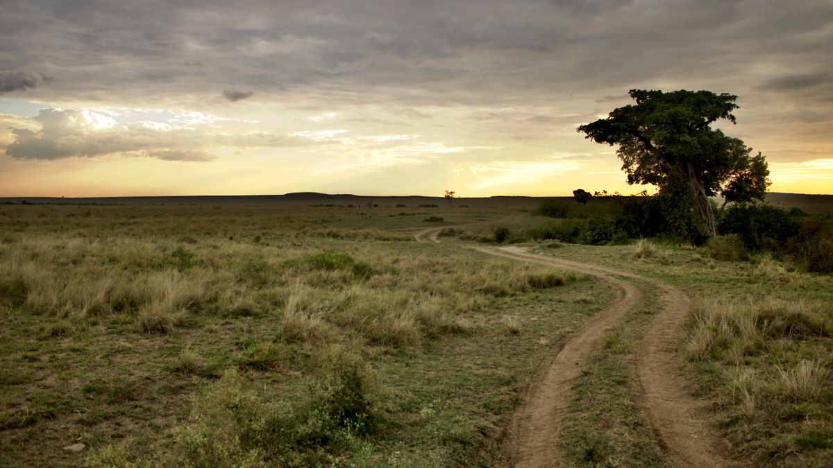 El acceso a selvas tropicales, sabanas, bosques y desiertos garantizaba alimento y seguridad a los grupos humanos