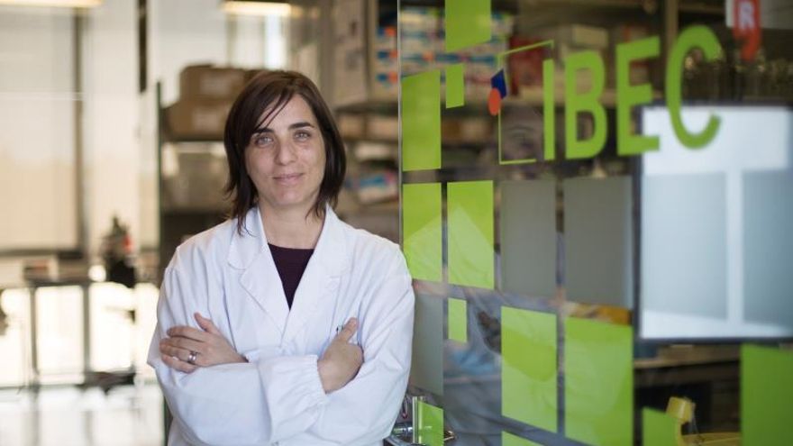 Nuria Montserrat, (en la imagen), del IBEC.