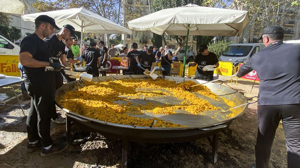 El arroz valenciano no es solo “arroz”: estas son todas sus variedades protegidas para hacer una buena paella