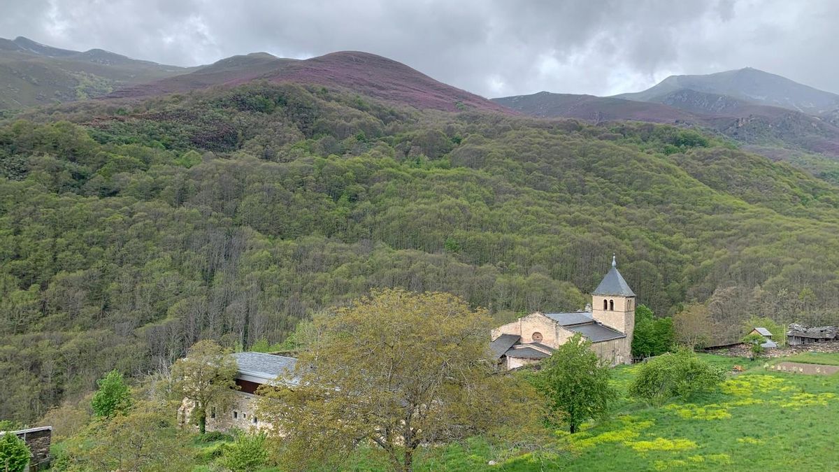 Monasterio de San Pedro de Montes.