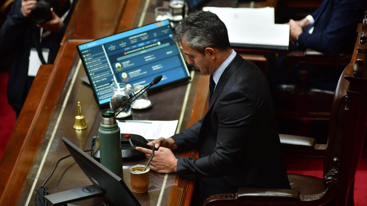El presidente de la Cámara de Diputados, Martín Menem