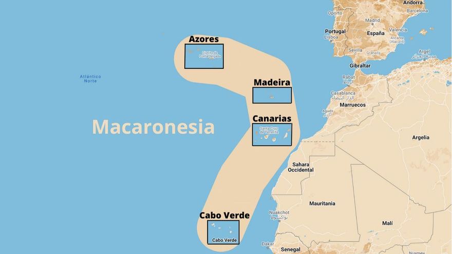De imaginar la Macaronesia a inventarla: nacen asociaciones para impulsar la unión de los archipiélagos del Atlántico norte