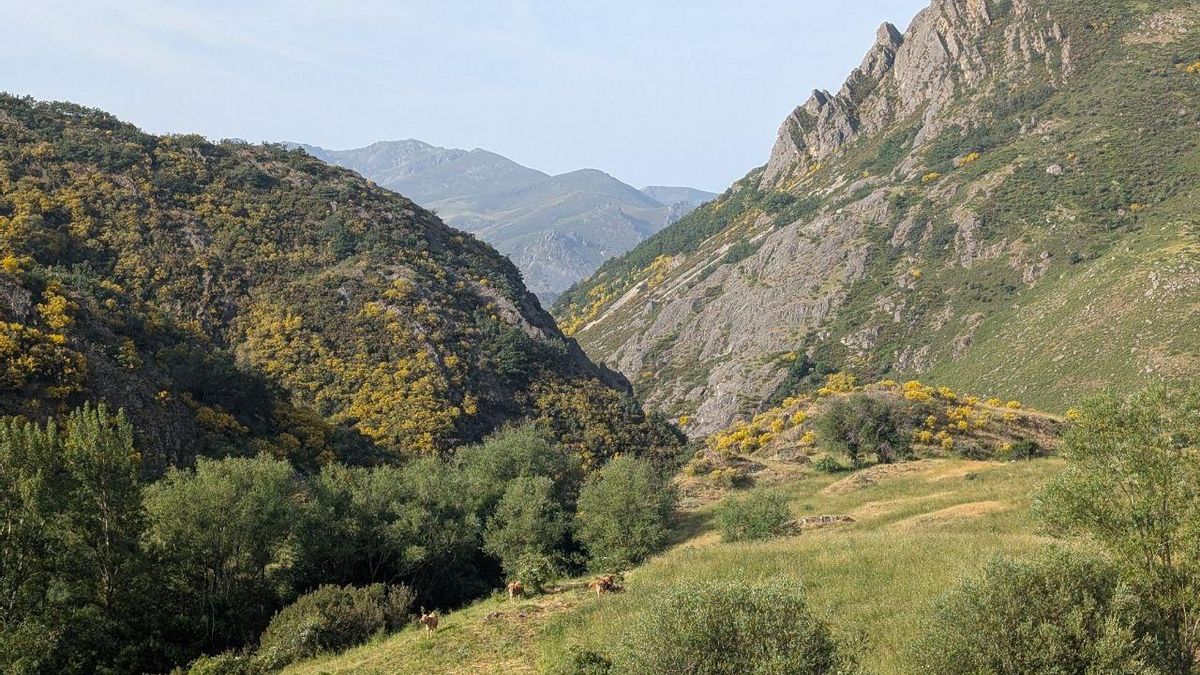 Villasecino estrena el documental ‘Ser en Babia’, un retrato de la comarca leonesa contada desde dentro