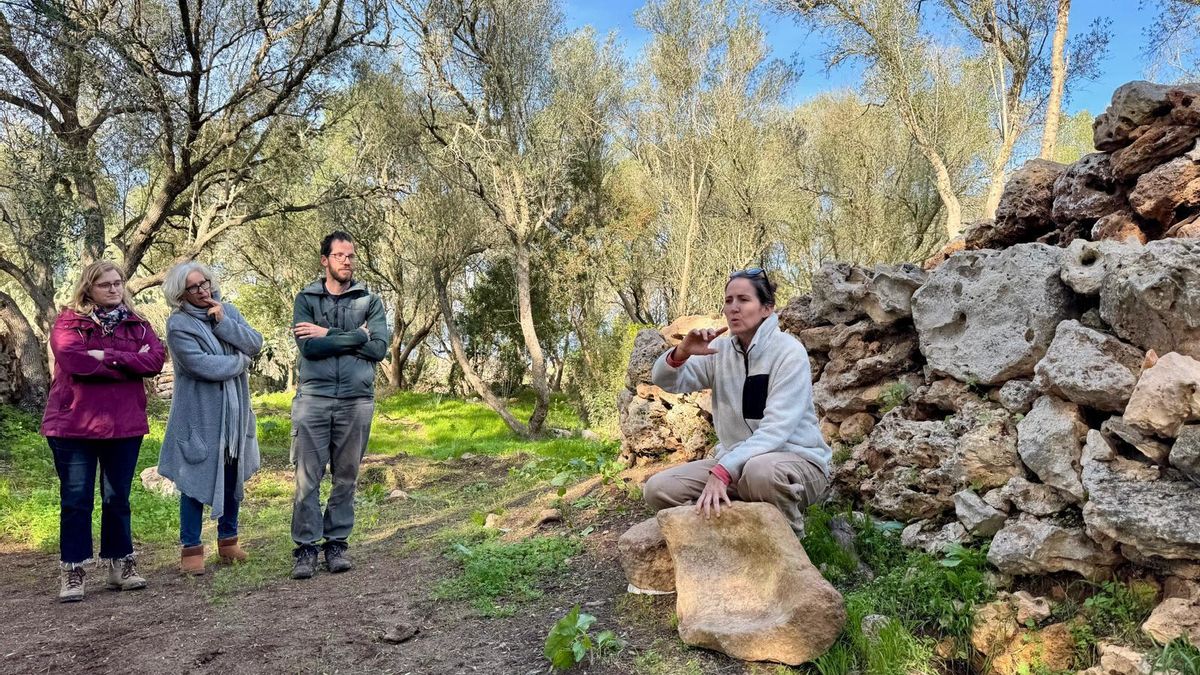 L’Ajuntament d’Inca presenta els resultats de la darrera campanya d’excavacions al jaciment de Son Mas des Potecari