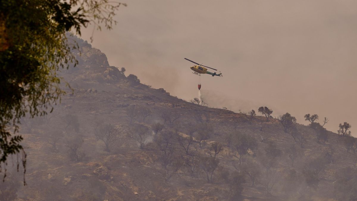 Imagen de las tareas de extinción del incendio forestal que durante la jornada han tenido lugar en Monte Coronado.