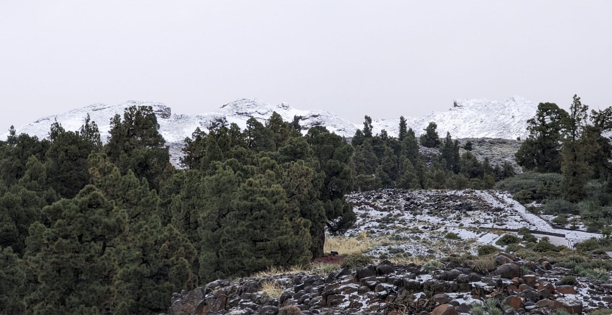 Imagen de la nevada desde la Cruz de La Traviesa, en Puntagorda.
