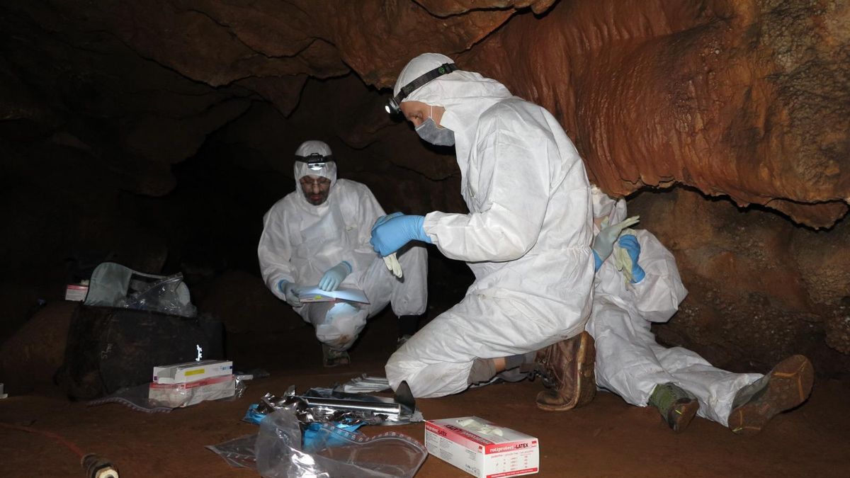 Descubren que las paredes de las cuevas actúan como archivos biológicos de la Prehistoria