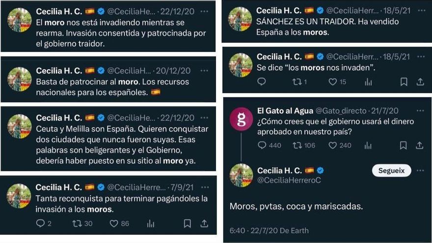 El historial de tuits de tinte racista de una concejala de Vox de València: “No son migrantes ni inmigrantes; son invasores”