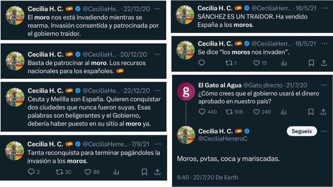 Algunos de los tuits de la concejala de Vox de València, Cecilia Herrero, aportados a la Fiscalía.
