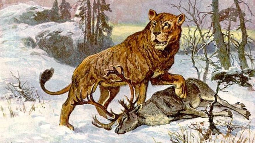El ADN de leones de las cavernas revela cruces con leones modernos durante las glaciaciones