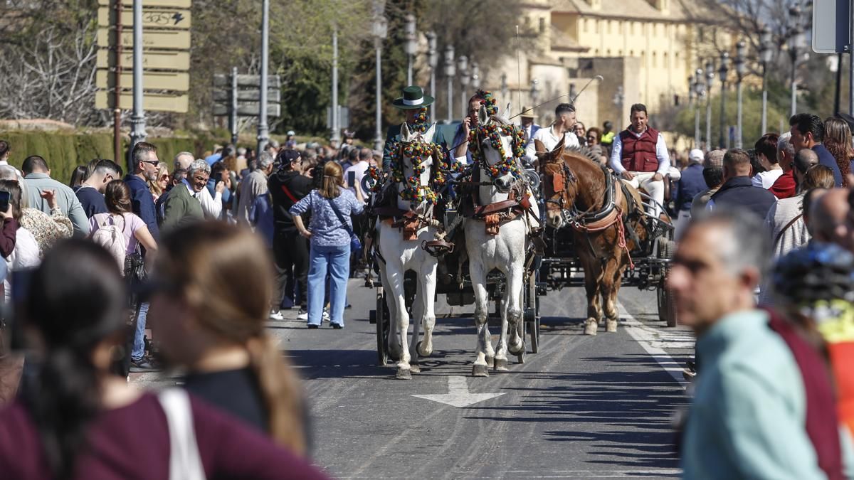 XVIII Marcha Hípica ‘Córdoba a Caballo’