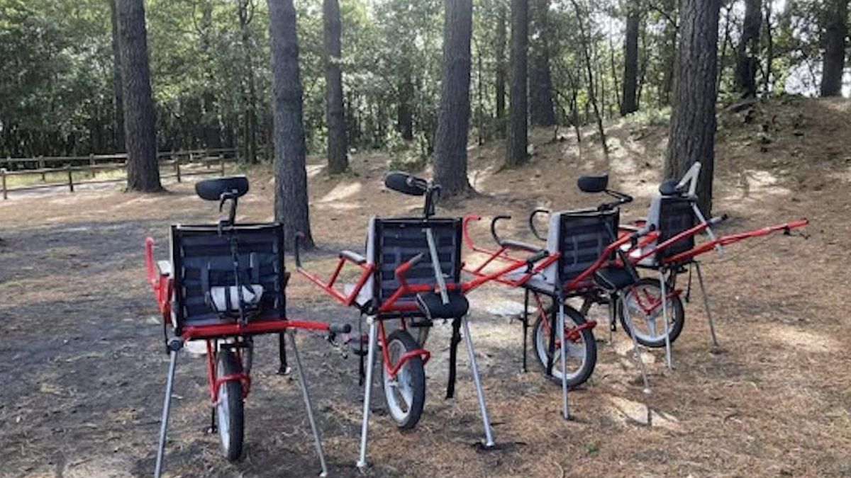 Caminata  adaptada al Tajogaite  con sillas de ruedas para montaña