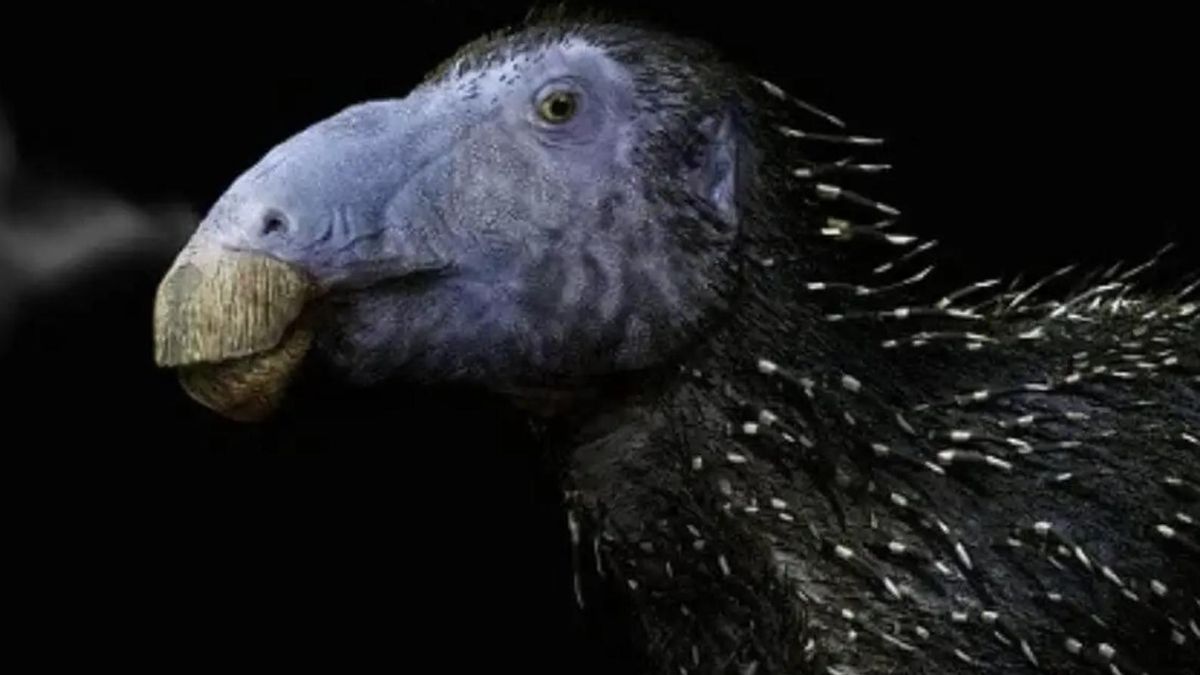 Un fósil hallado en China muestra que algunos dinosaurios tenían espinas huecas en la piel hace 125 millones de años y obliga a replantear su evolución