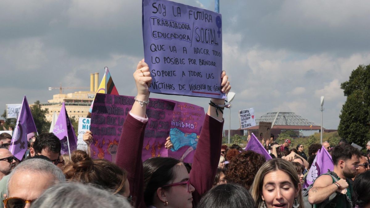 Una manifestante con su pancarta, durante la marcha en Sevilla este 8M.