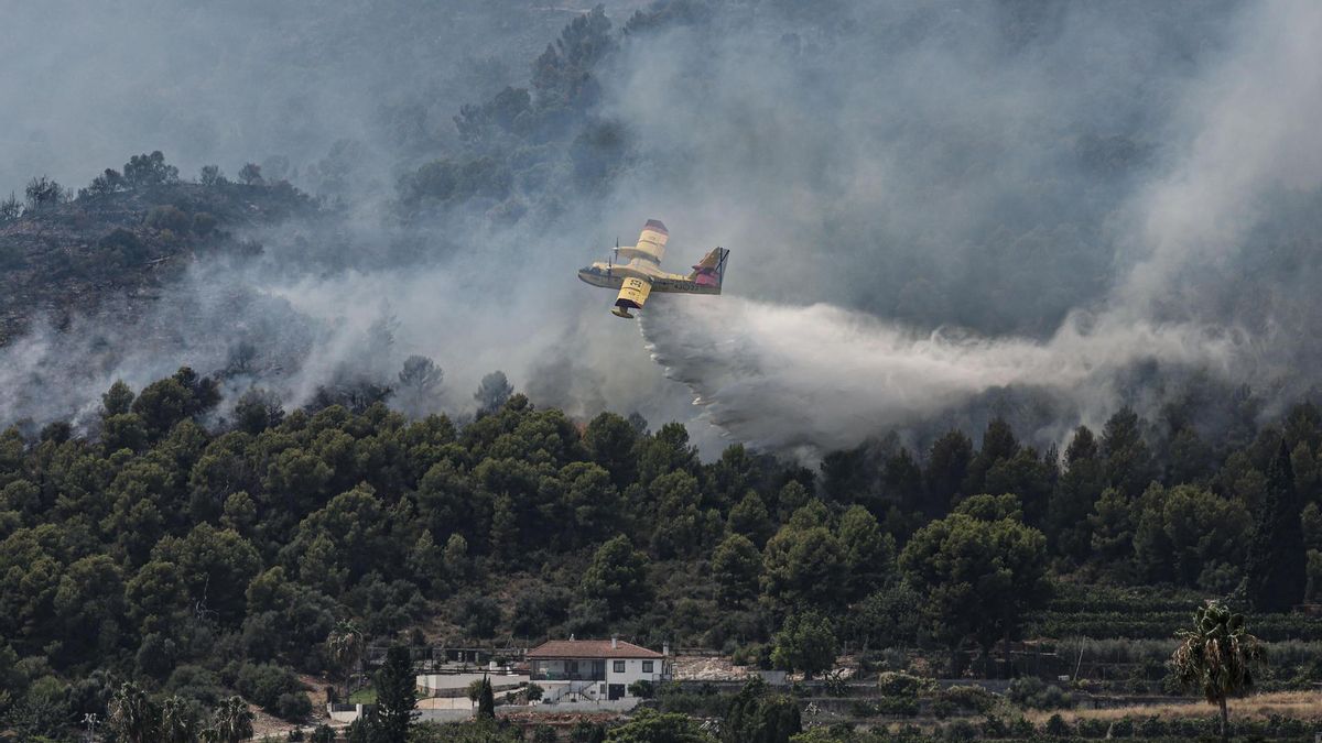 La humedad abre una "ventana de oportunidad" en Vall d'Uixó pero la previsión no es buena