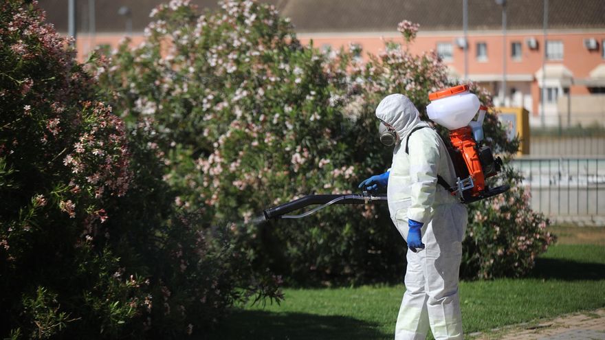 Trece municipios cordobeses, en alerta máxima por riesgo de virus del Nilo Occidental