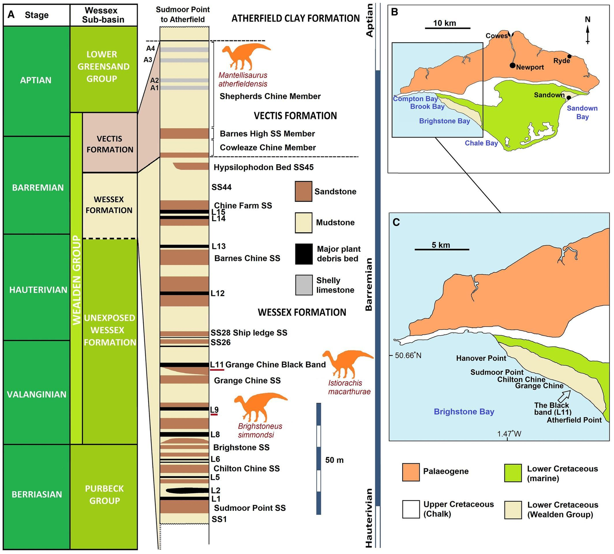 Localidad y estratigrafía de Istiorachis macarthurae gen. et sp. nov.