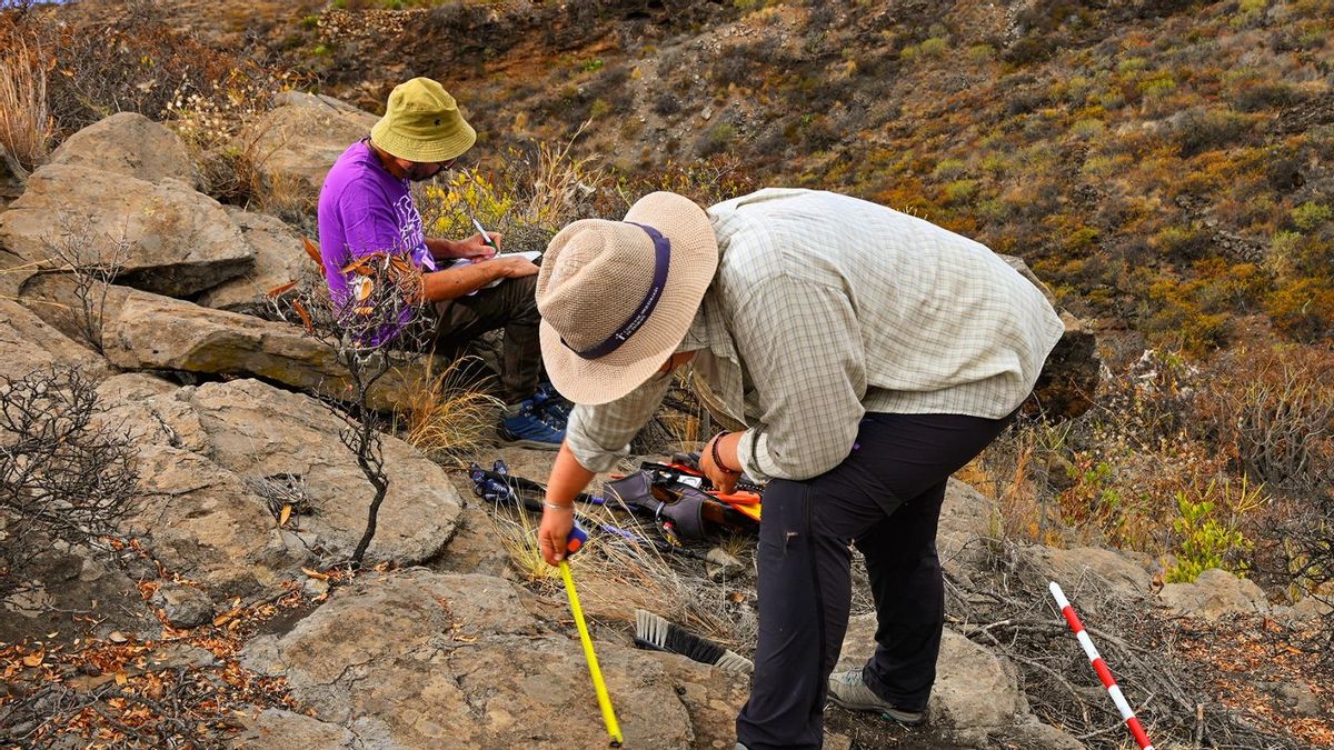 La décima campaña arqueológica de Tijarafe explorará el sector norte del municipio